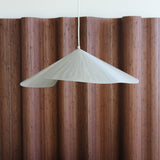 Suspension Flower par Colin Chetwood