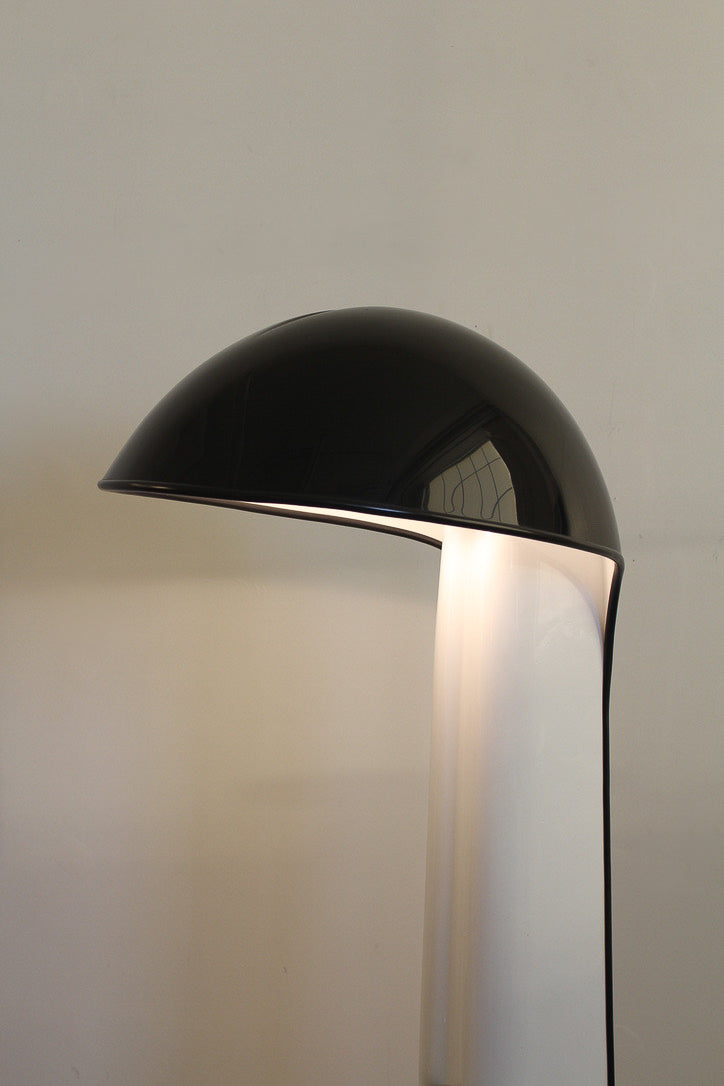 Alba Floor Lamp by Sergio Brazzoli & Ermanno Lamp for Harvey Guzzini