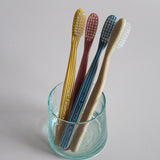 Madrid Toothbrush