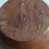 Apple Shaped Ice Bucket by Baribocraft