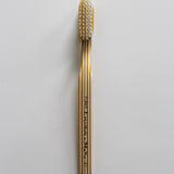 San Francisco Toothbrush