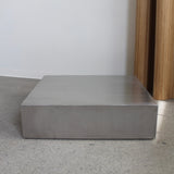 Low Stainless Steel Coffee Table – Le Centerpiece
