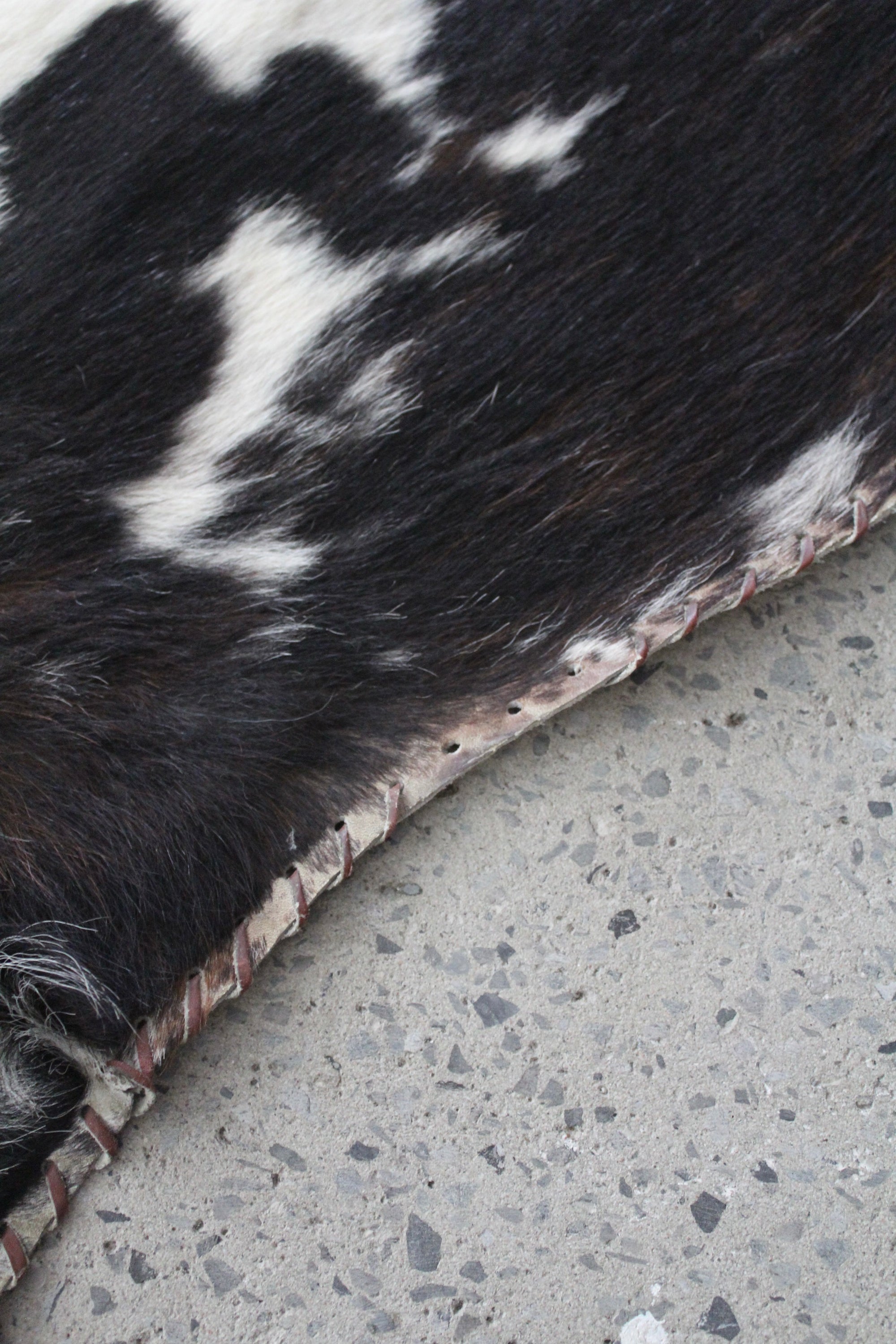 Vintage Speckled Cowhide Rug Tricolour Leather Trim