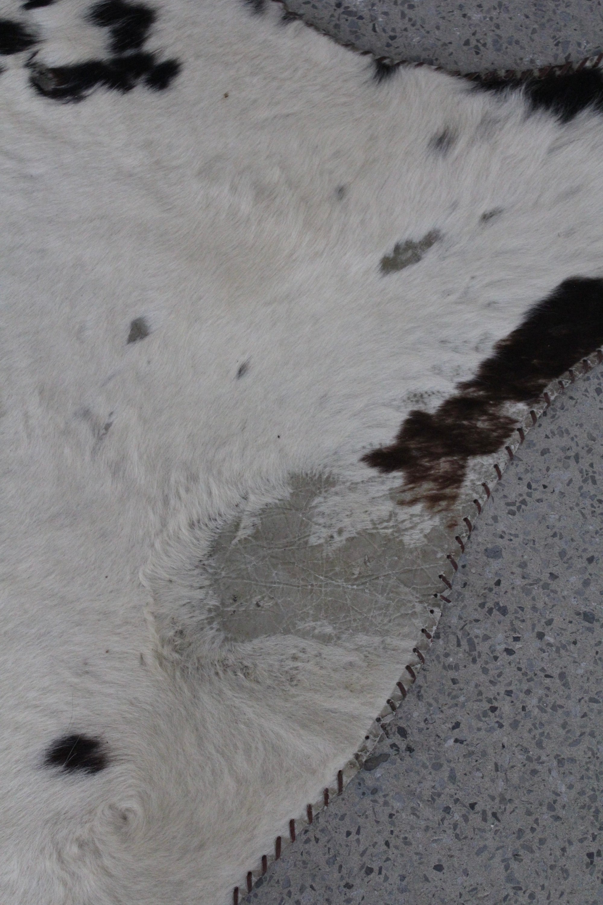 Vintage Speckled Cowhide Rug Tricolour Leather Trim