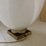 Lampe tulipe de Roger Rougier
