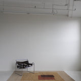 Tibetan Rug in Painted Hills