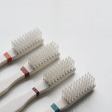 Rome Toothbrush