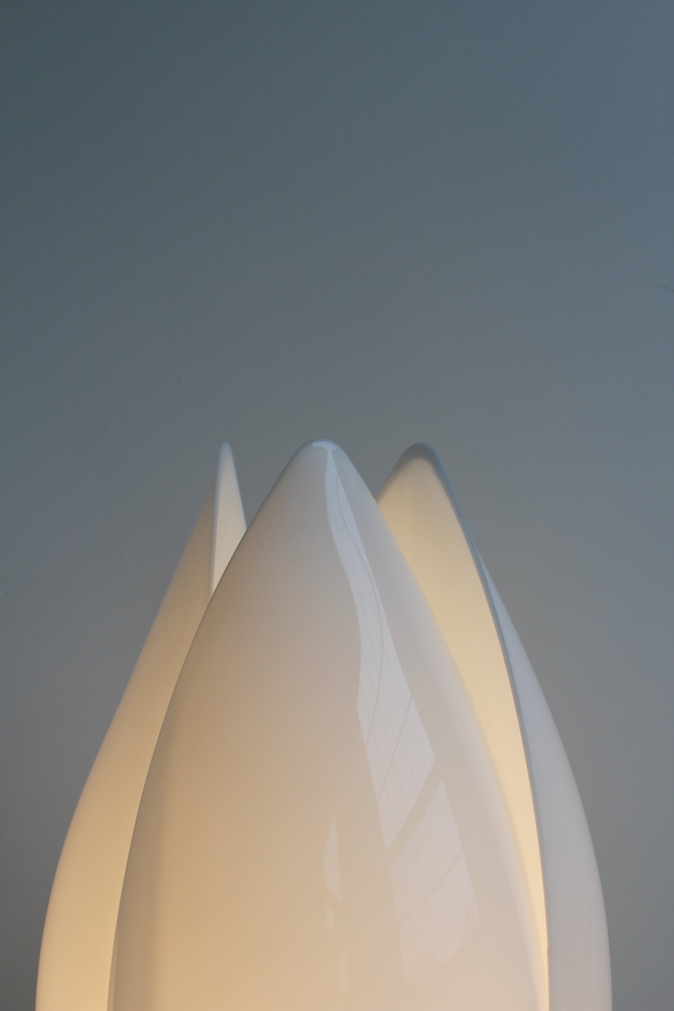 Acrylic Tulip Lamp