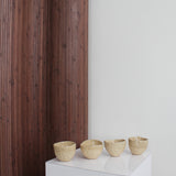 Pichet Philodendron par Maison Sevigny