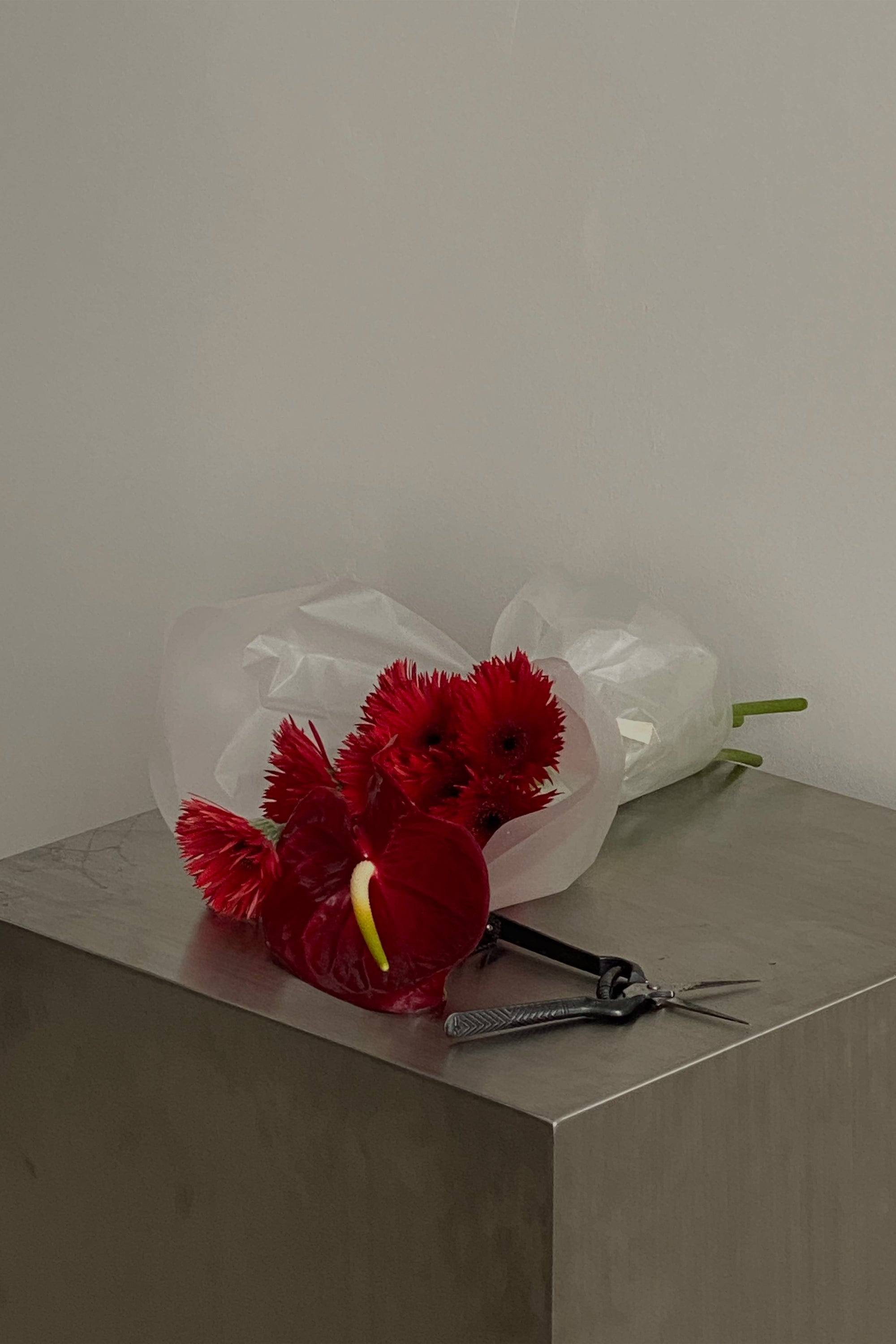 Valentine's Day Bouquet x Studio Sveja - Pre Order